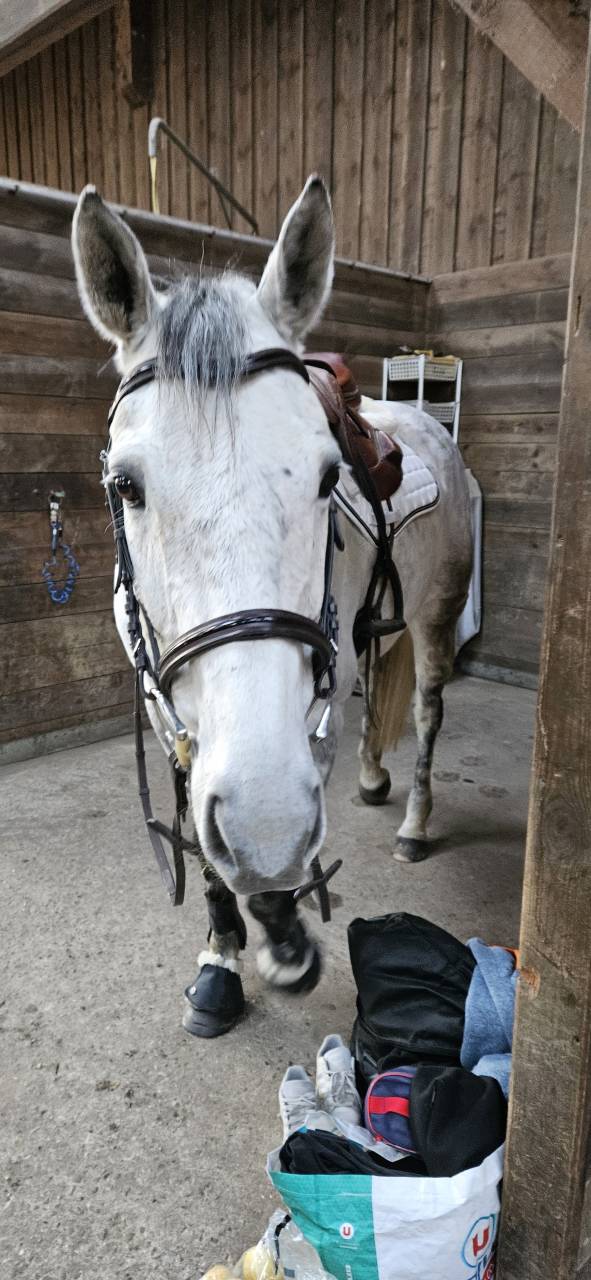 HONGRE SPORT ET LOISIRS 