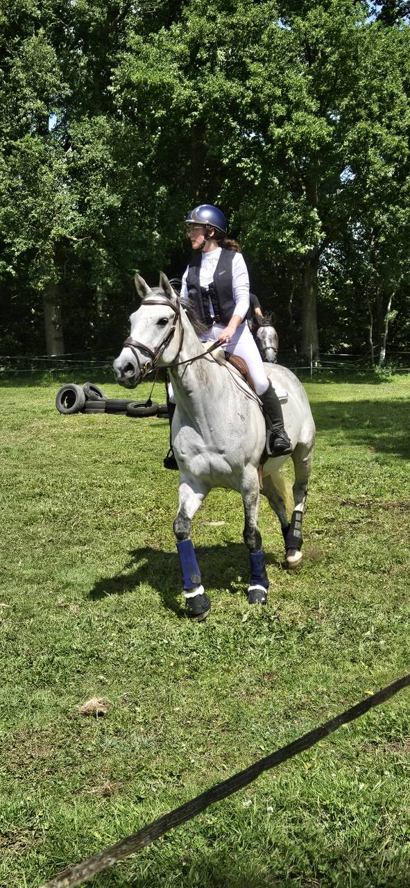 HONGRE SPORT ET LOISIRS 