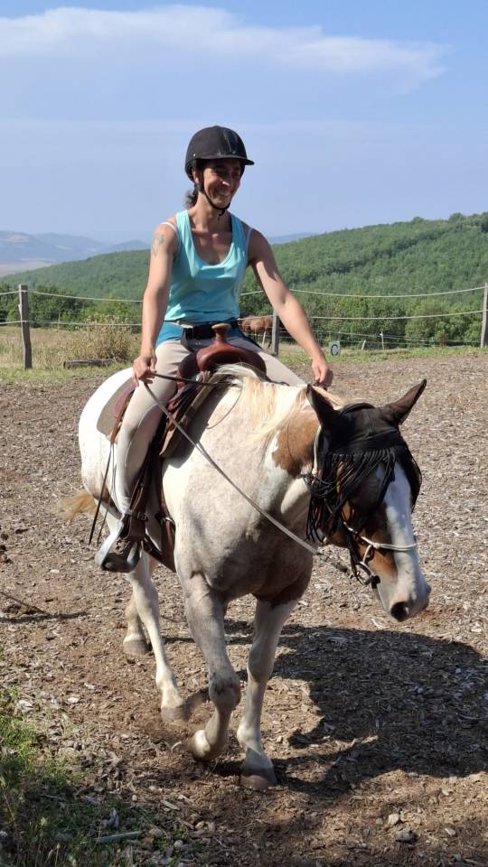 Hongre pintaloosa 7ans