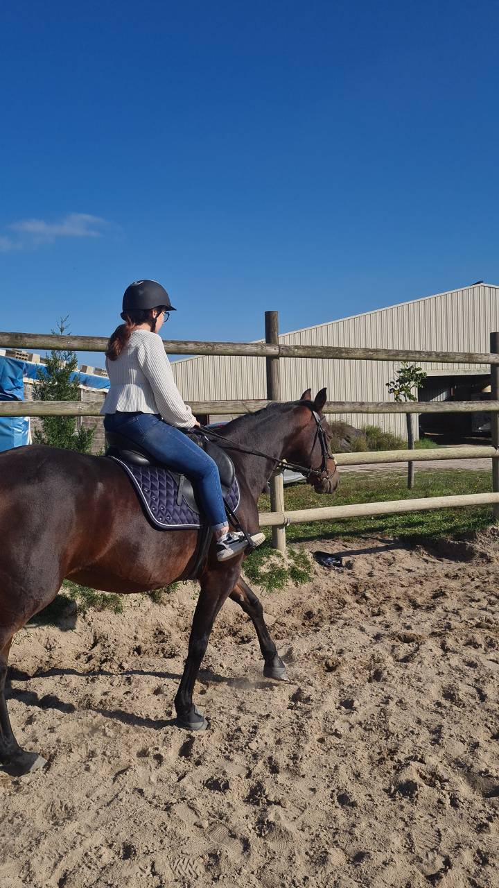 Gentille Jument à prendre en demi-pension