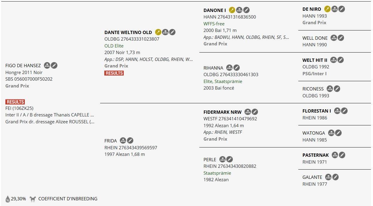 Superbe poulain AES 2023, origines dressage premium