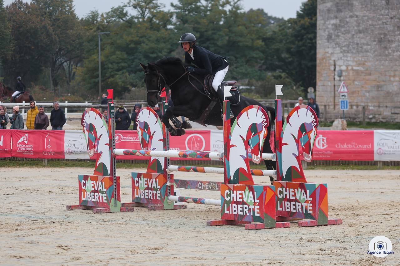 Jolie jument noire CSO de 5 ans à vendre