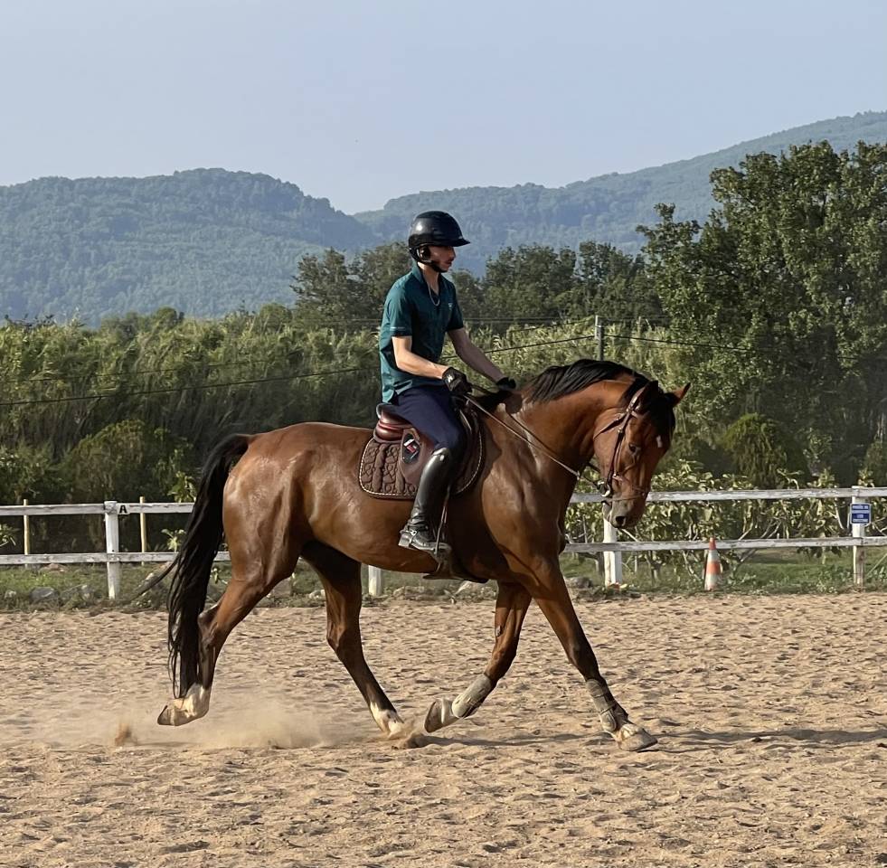 BWP de 12 ans Maitre d’Ecole
