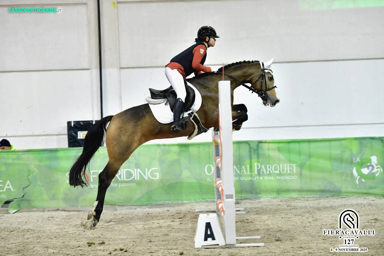Poney incroyable!