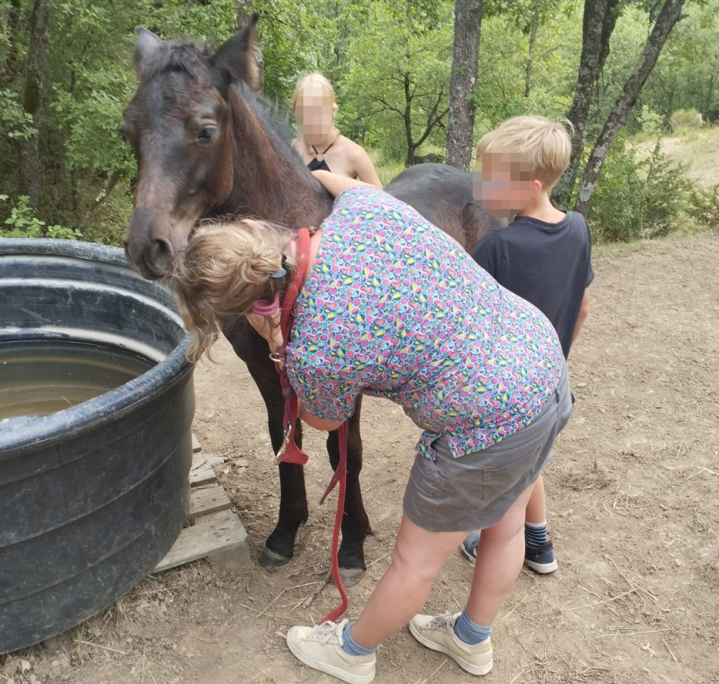 A Reserver Poulain Mérens male PHOENIX