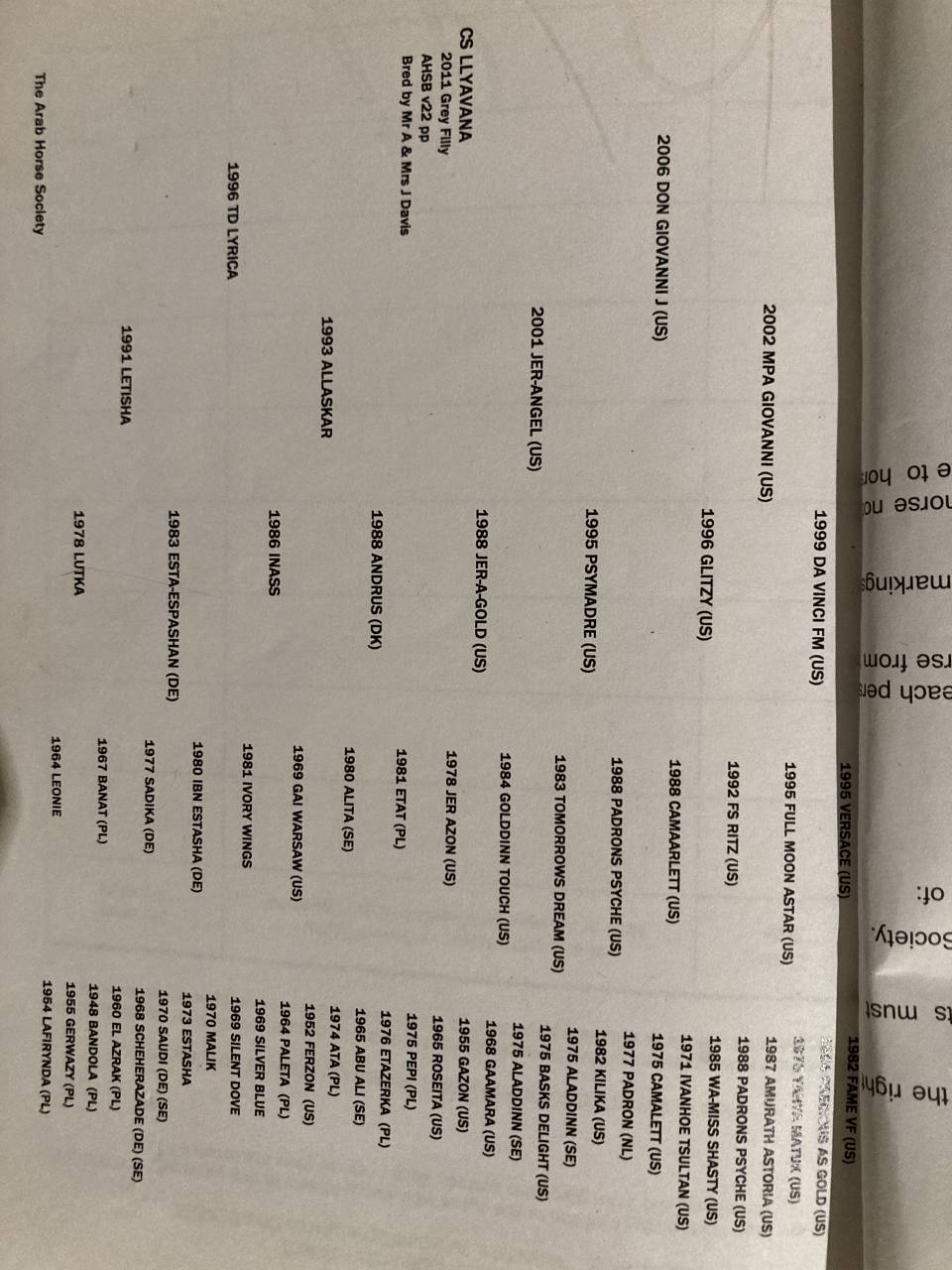 Jument pur sang arabe 