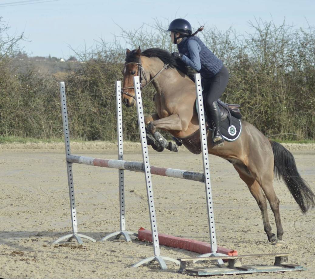 Demi pension poney C cso cce maisons laffitte 