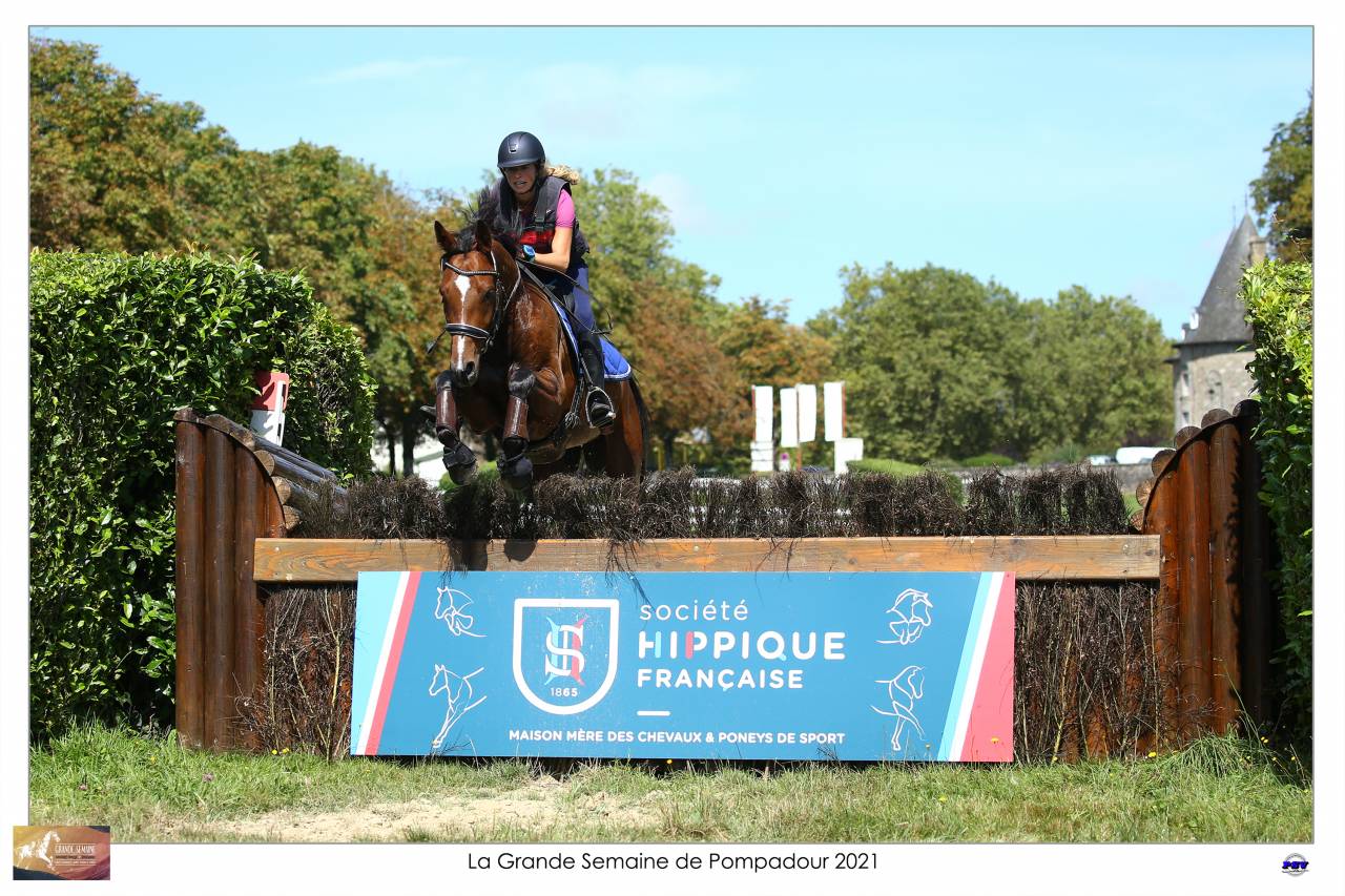 Cheval "assurance vie"