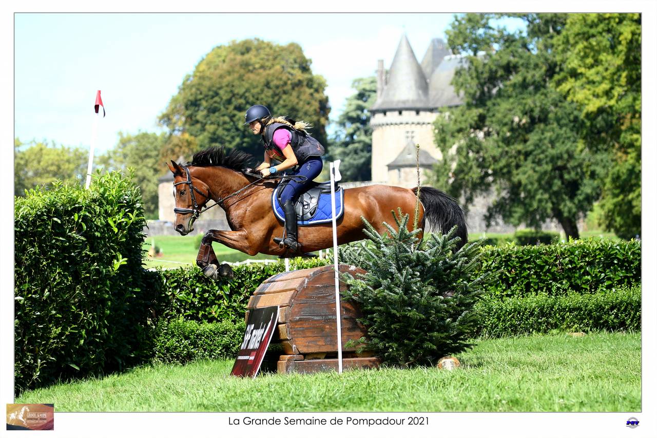 Cheval "assurance vie"