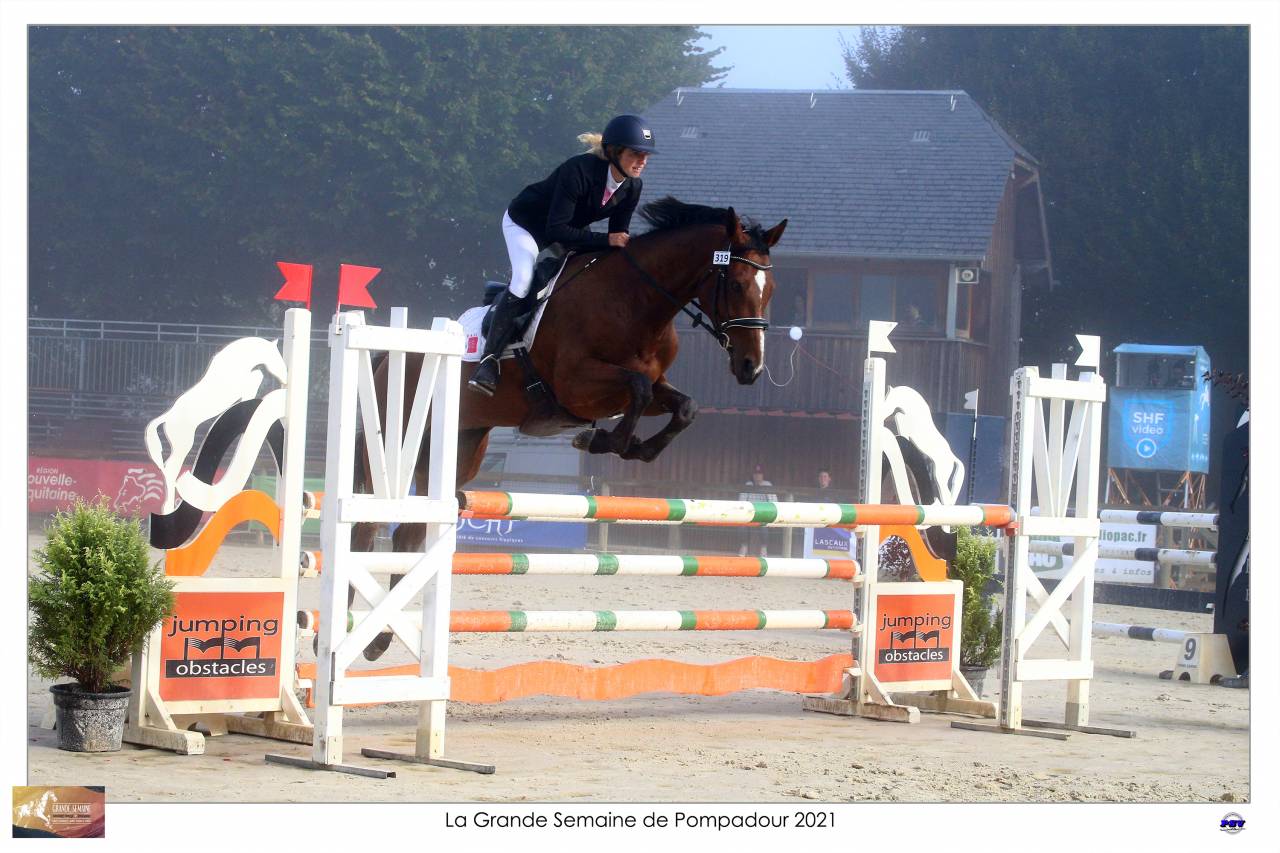 Cheval "assurance vie"