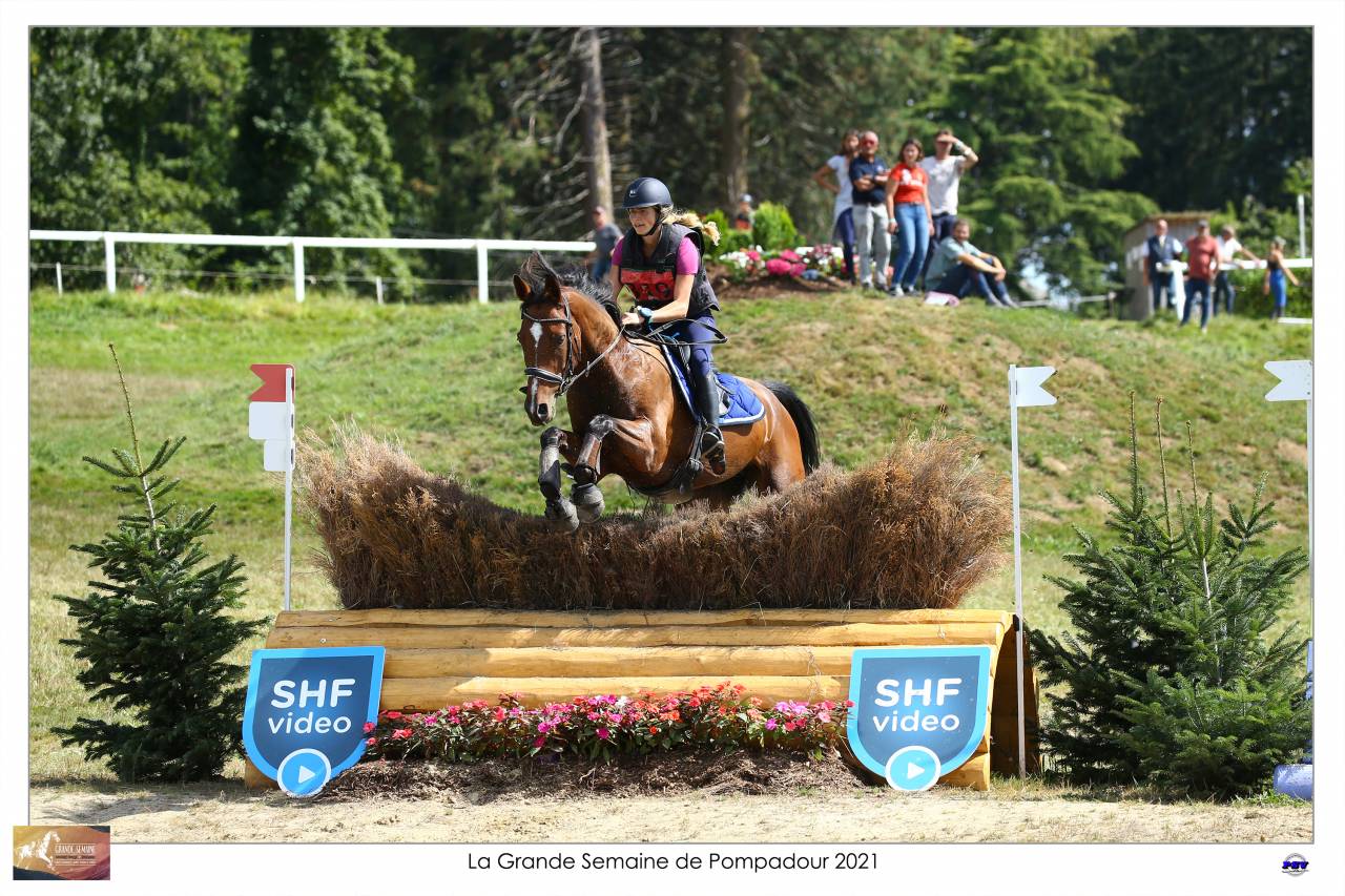 Cheval "assurance vie"