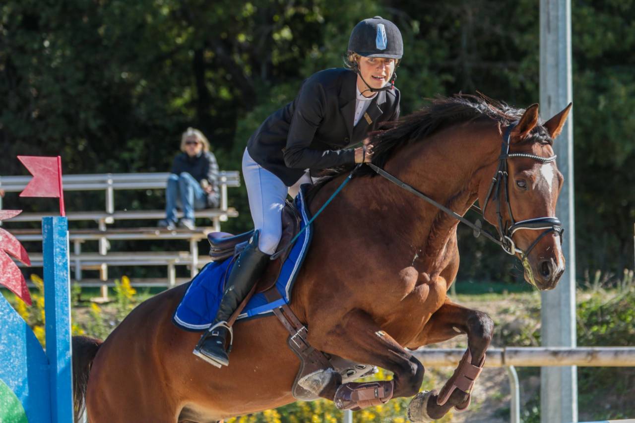 Cheval "assurance vie"