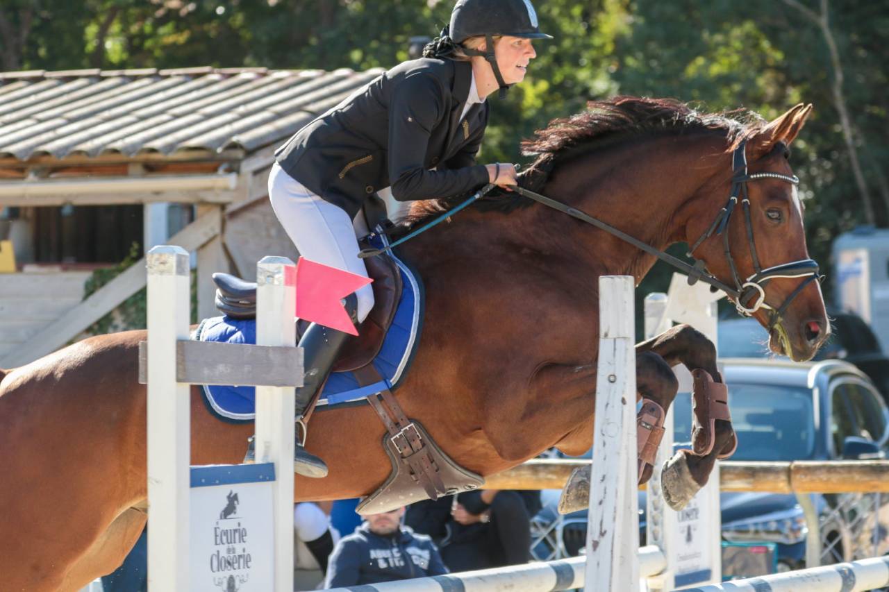 Cheval "assurance vie"