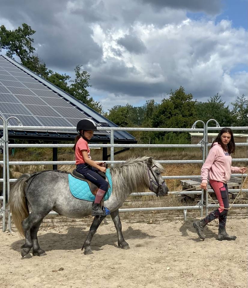 Très belle ponette d’avenir 