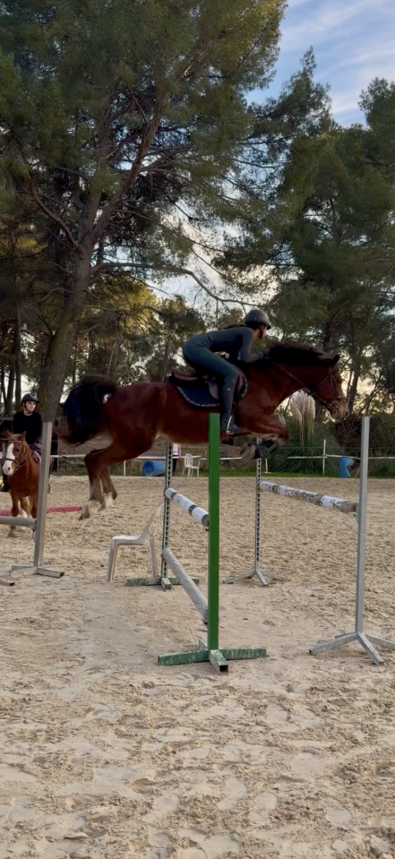 À la vente magnifique poney