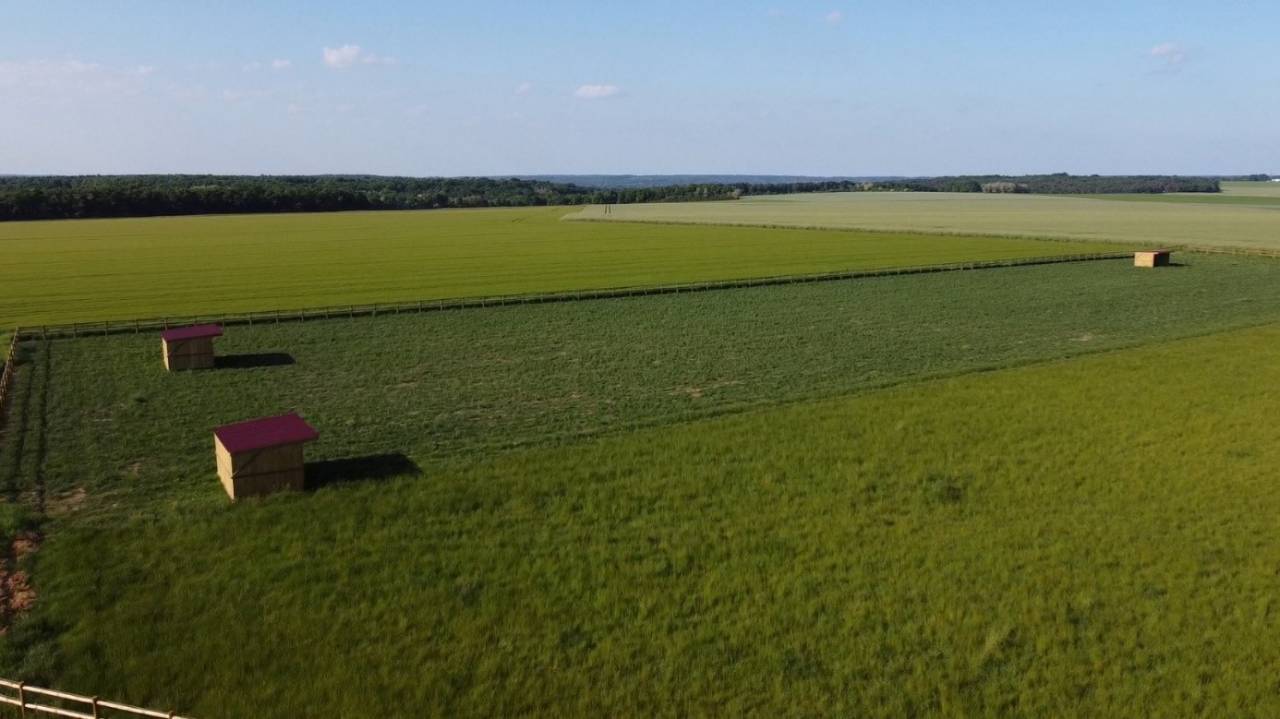 Locations Ecuries de 13 boxes + 2 hectares de prés