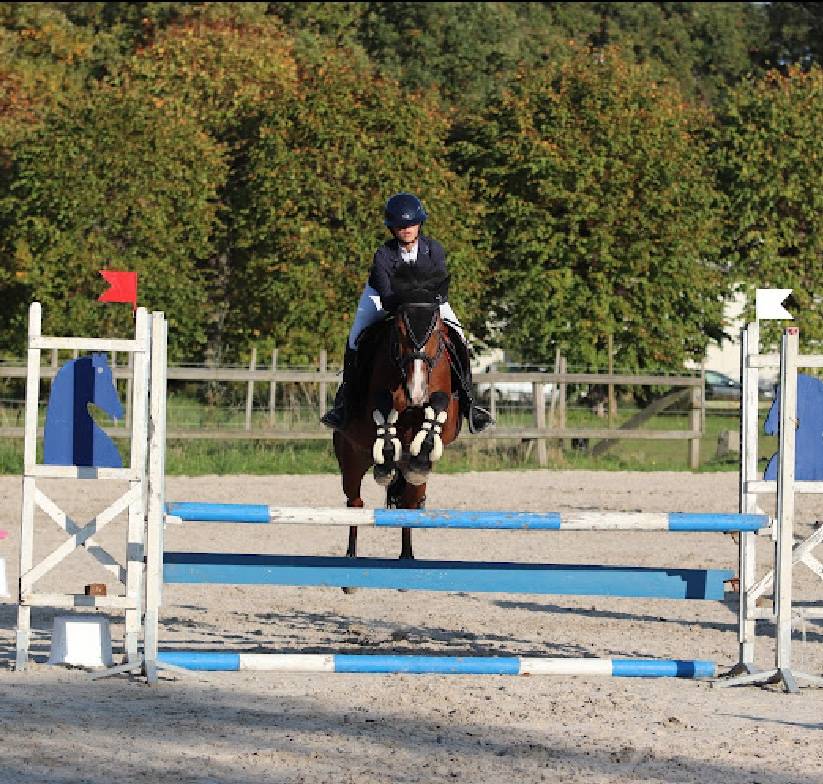 Recherche Dp pour mon poney de 7 ans 