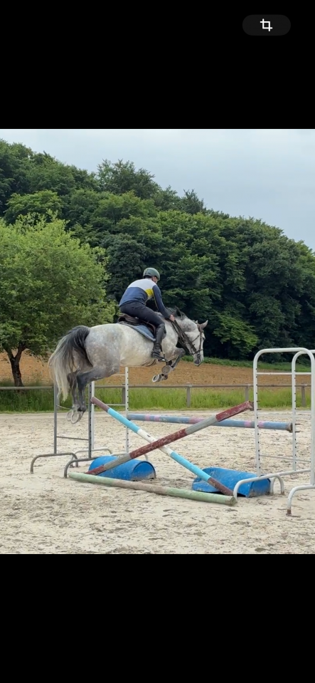 À vendre Falbala d’Utah Z