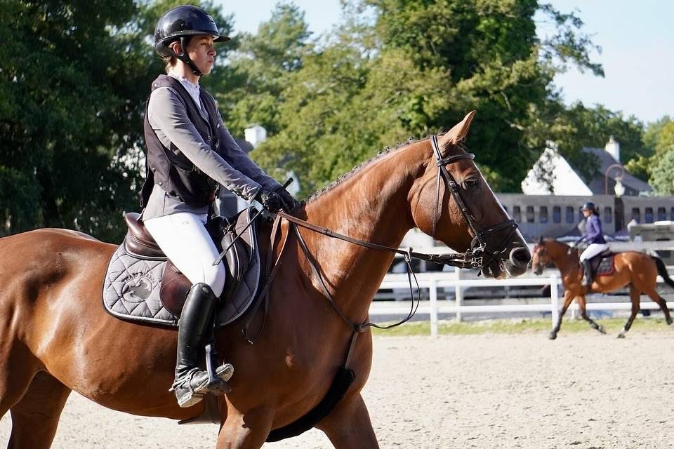 Très belle jument de 9 ans 