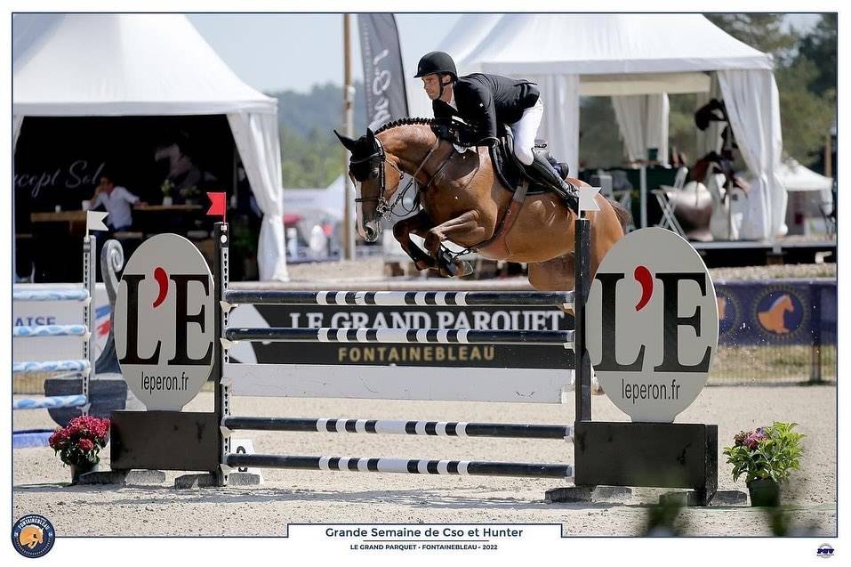 Très belle jument de 9 ans 