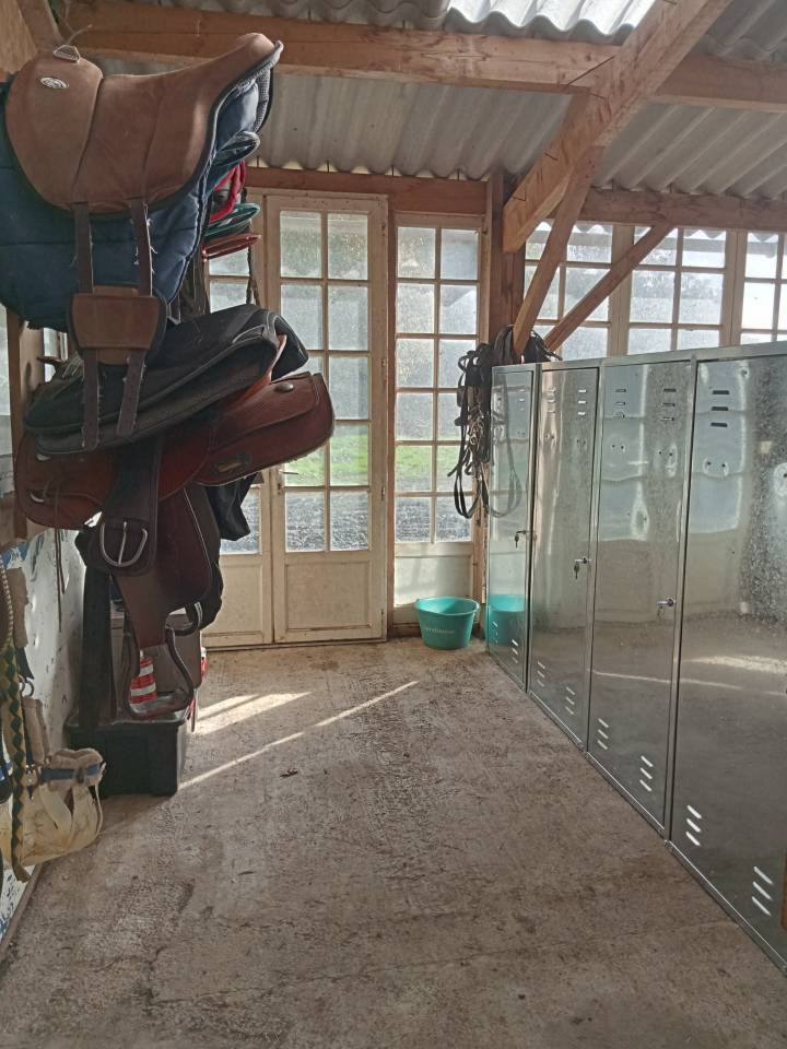 Pension travail chevaux et poneys