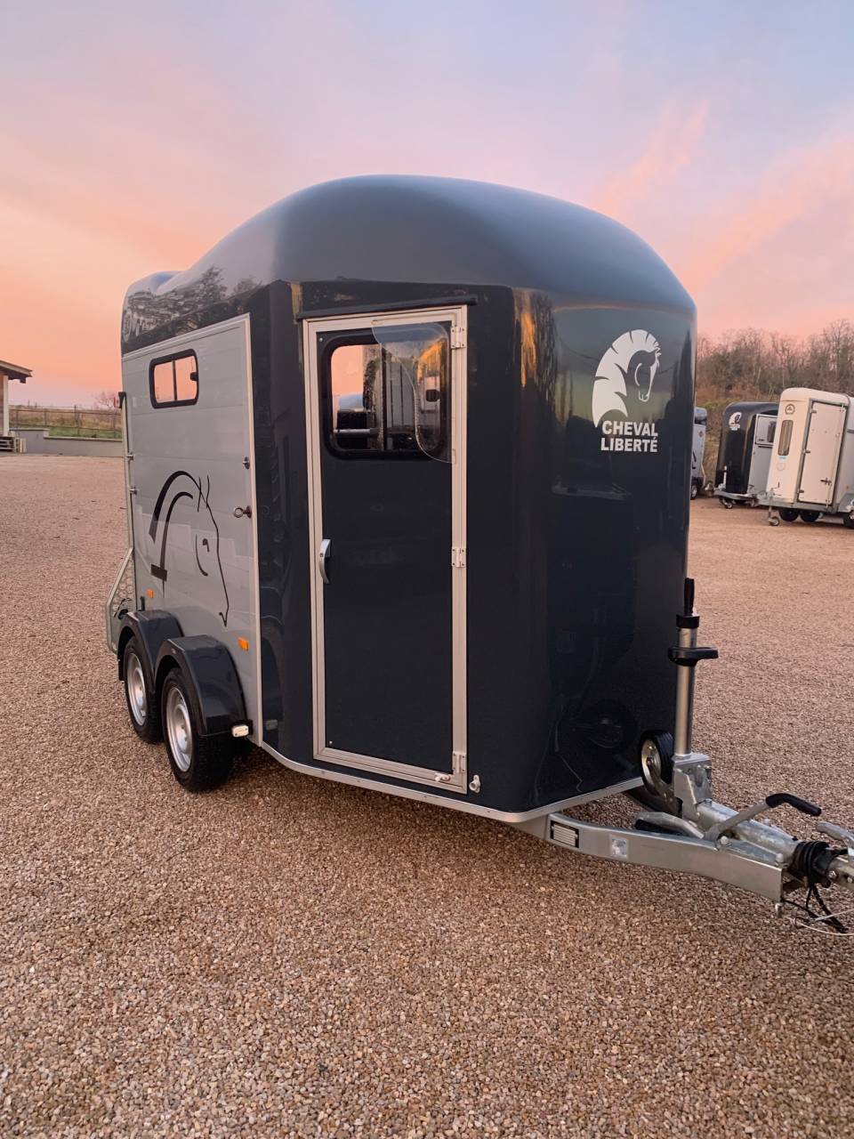 Van occasion Gold 3 - 2021