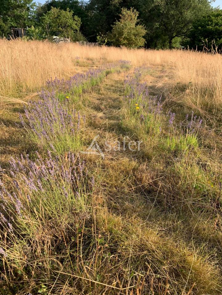 Propriété Rurale de caractère sur 4 ha
