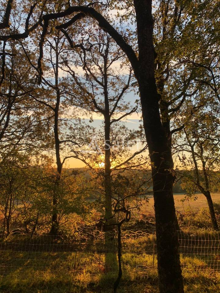 Propriété Rurale de caractère sur 4 ha