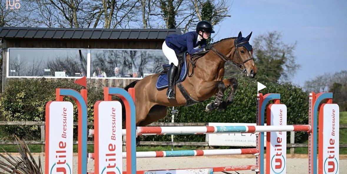 Hongre 9 ans SF a vendre