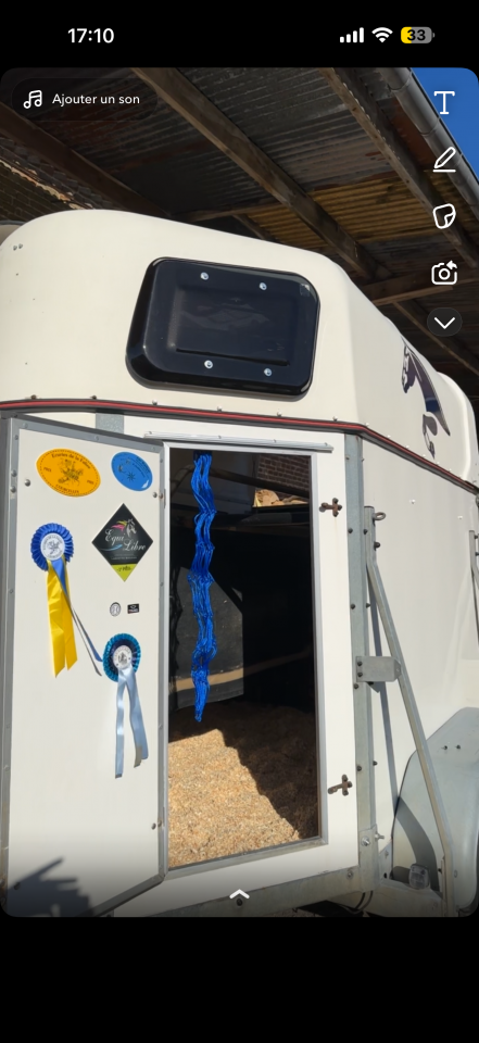 Van chevaux 2 places 