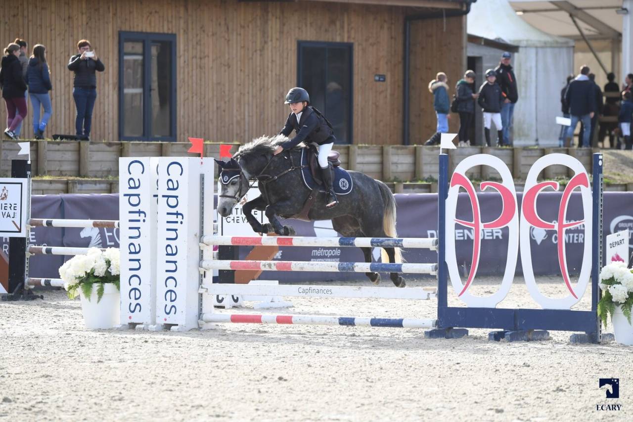 Ponette connemara 8 ans