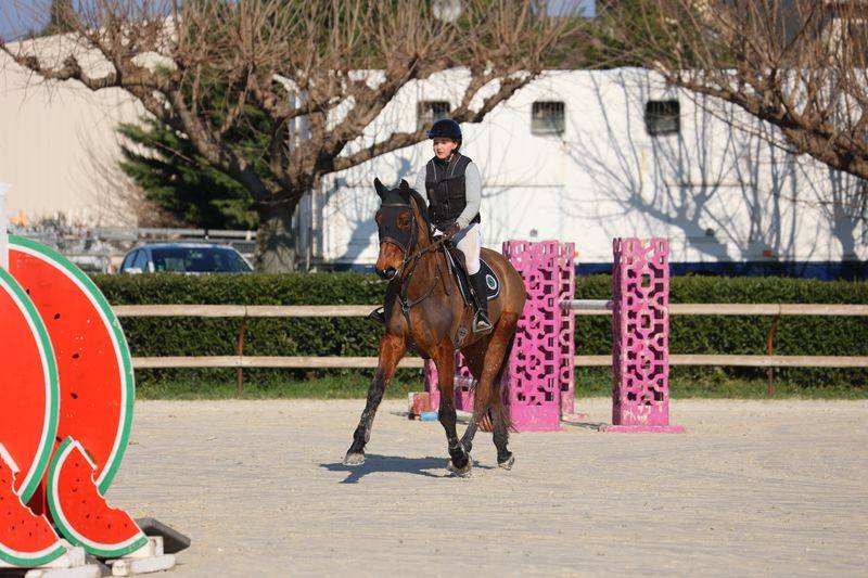 ‼️Sf de 6 ans cavalier expérimenté ‼️