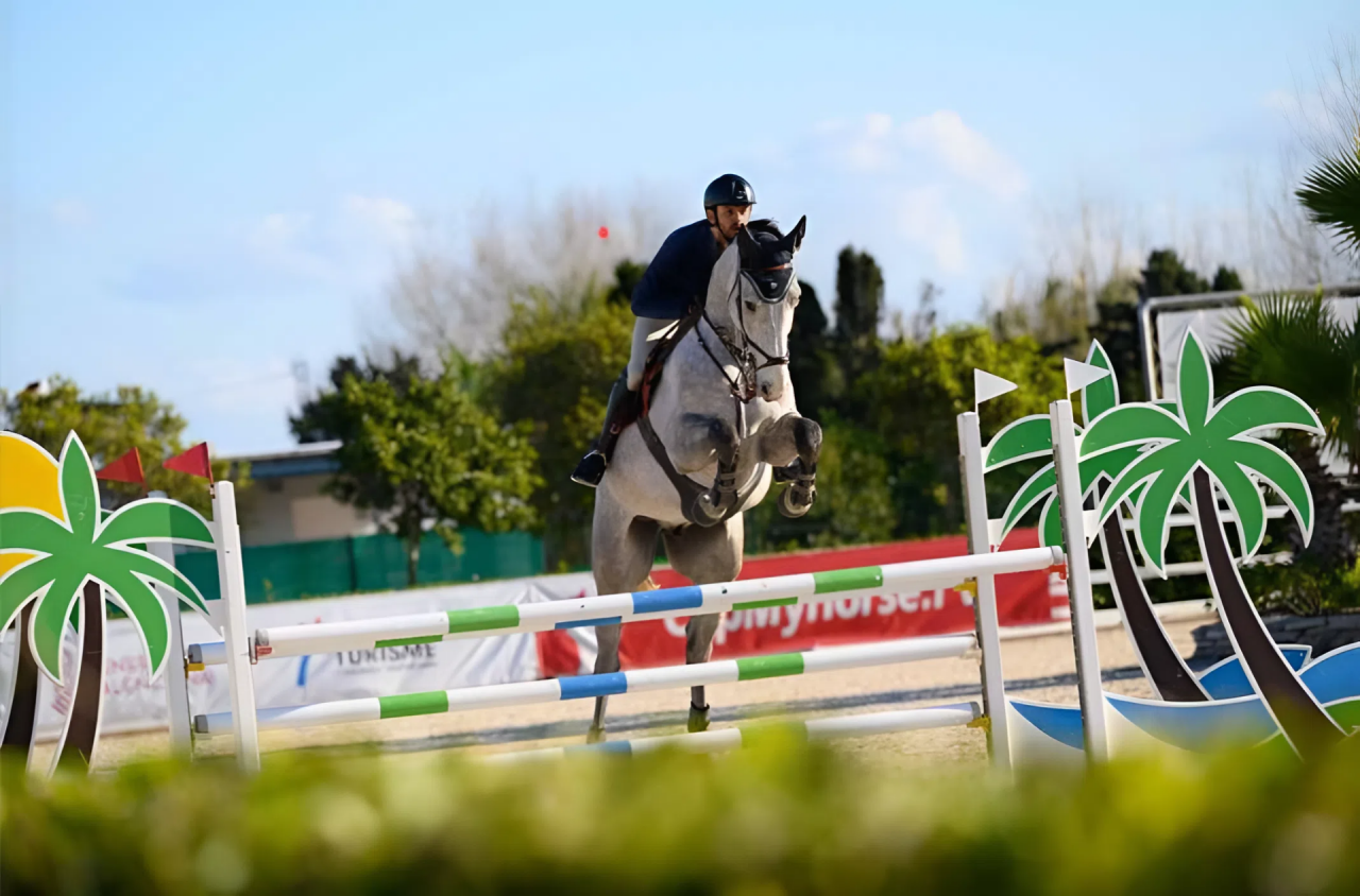 hongre 6 ans gros moyens (Untouchable x Carthago)