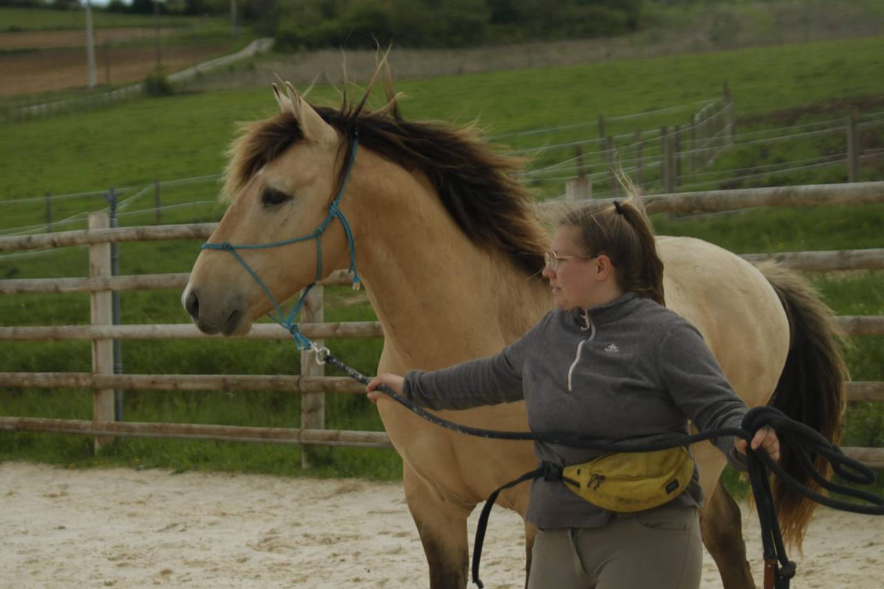 Étalon RBP 3 gênes de couleur