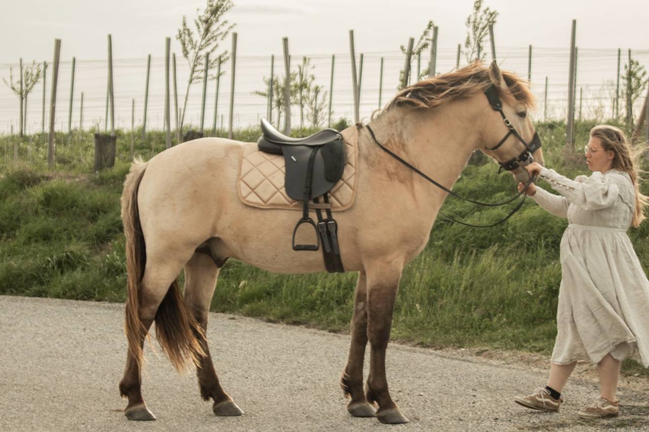 Étalon RBP 3 gênes de couleur