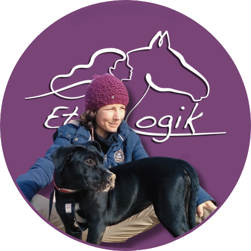 Comportementaliste LIMA/R+ et enseignante d'équitation 