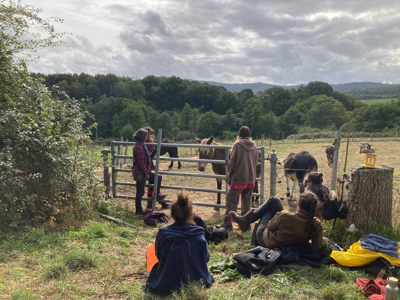Formation d'éducateur‧rice et comportementaliste