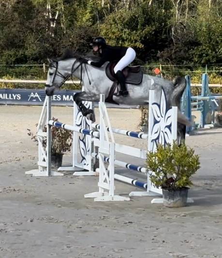 LOLA KWPN 9 ans (2025)