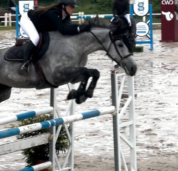 LOLA KWPN 9 ans (2025)