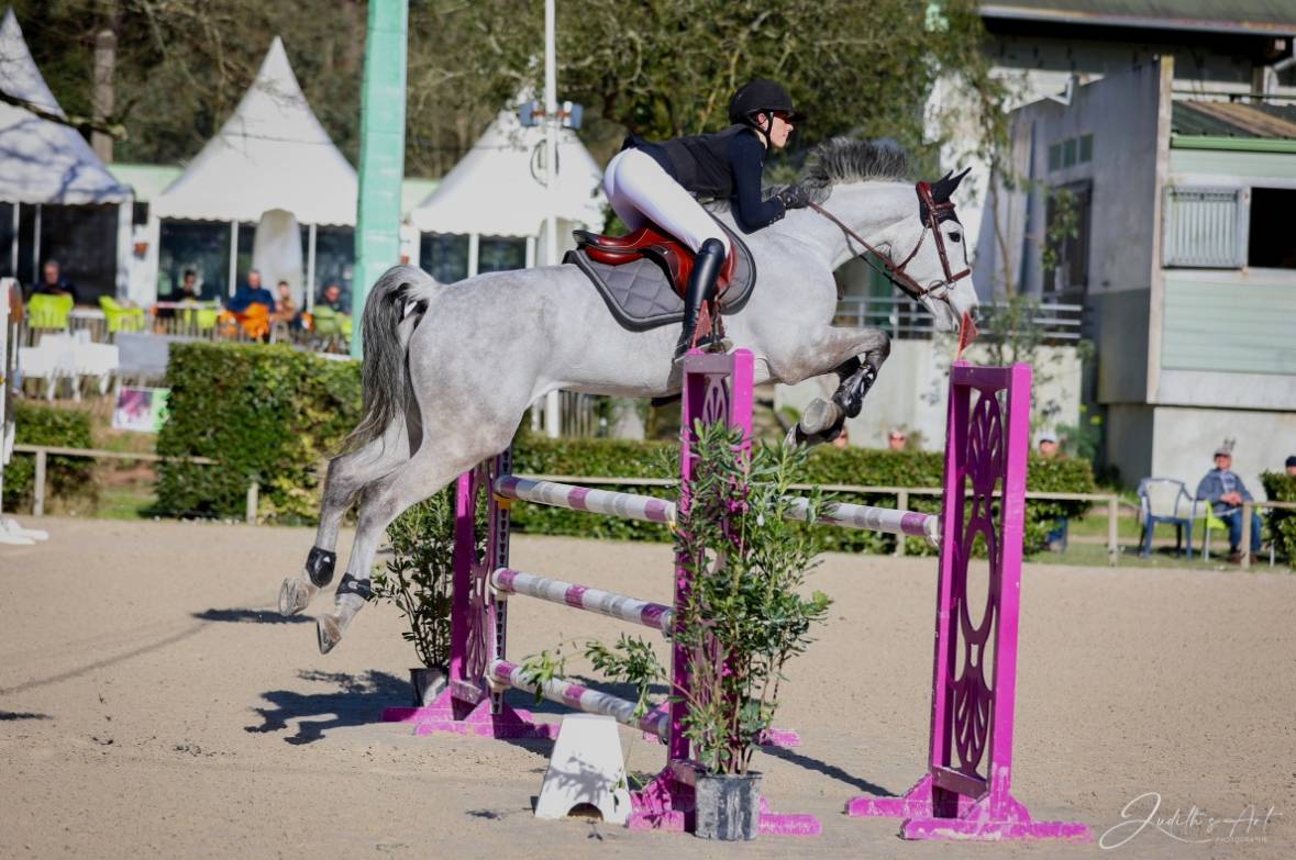 LOLA KWPN 9 ans (2025)