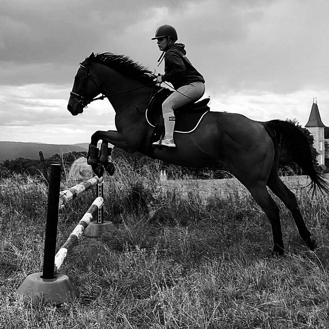 Jument Pur-sang anglaise 