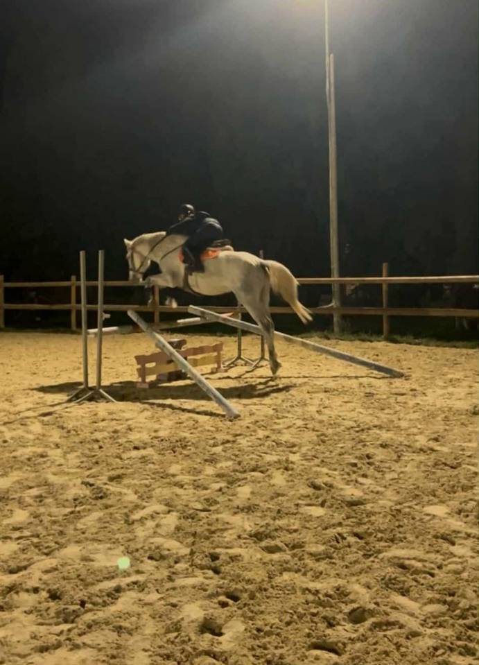 Superbe pouliche Barbe X Esp