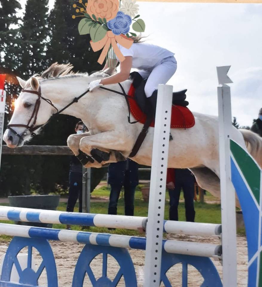 Superbe pouliche sport WELSH X Barbe