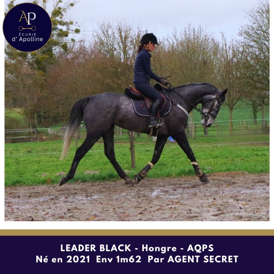 AQPS 4 ans locomotion plaisante modèle plaisant