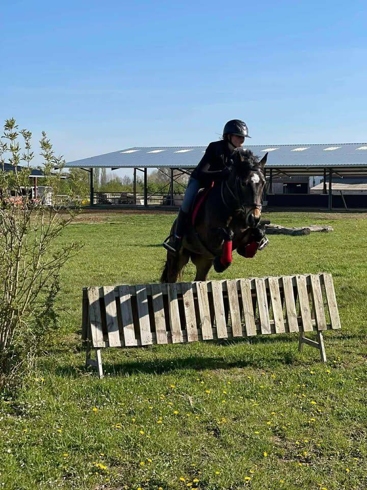 À vendre ponette PFS taille D