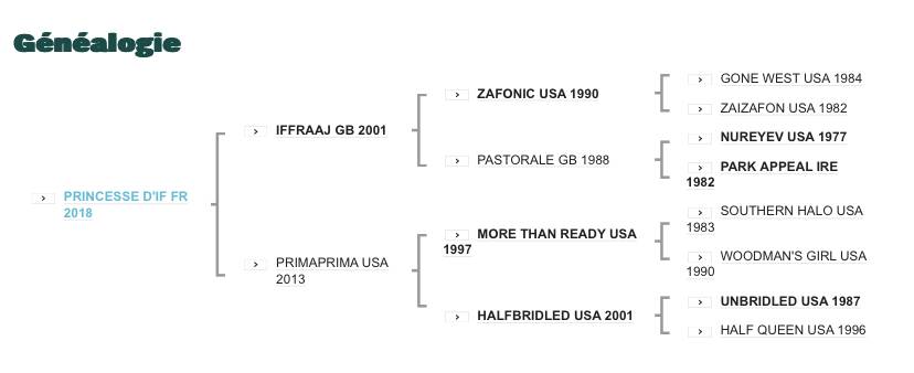 Superbe jument PS de 2018