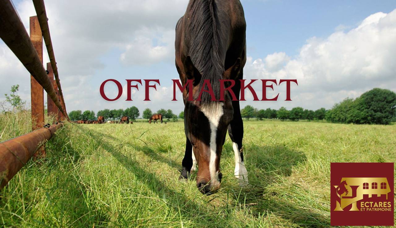 Domaine équestre + de 30 hectares