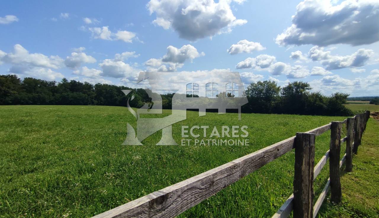 Domaine &eacute;questre + de 30 hectares