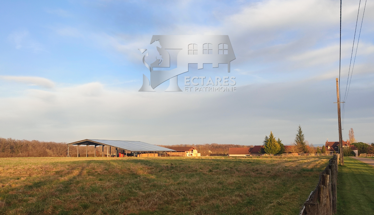 Domaine &eacute;questre + de 30 hectares