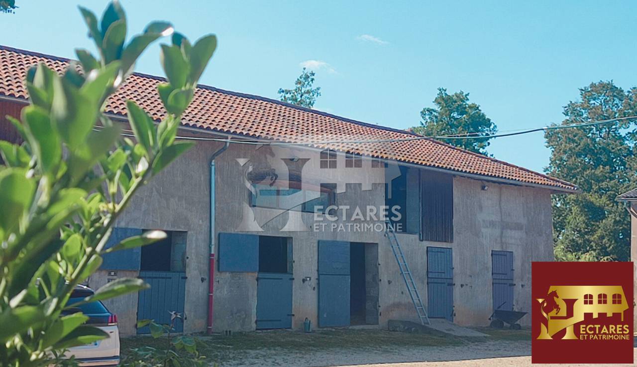 Propriété équestre 14 hectares